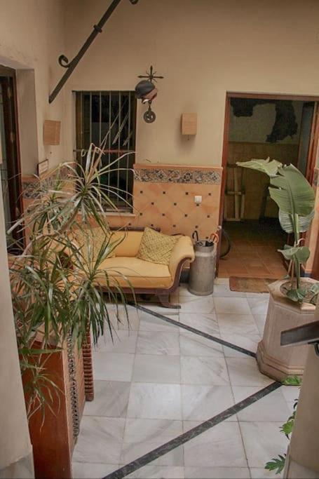 Apartament Penthouse With Large Terrace In Center Of Kadyks Zewnętrze zdjęcie