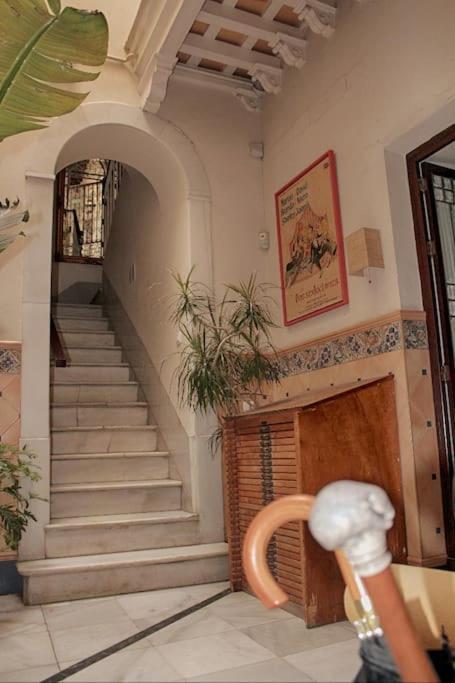 Apartament Penthouse With Large Terrace In Center Of Kadyks Zewnętrze zdjęcie